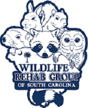Wildlife Rehab Group of South Carolina