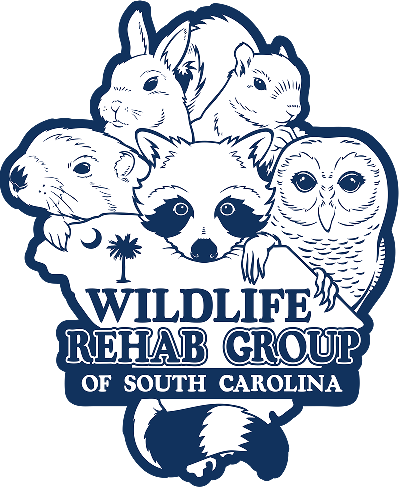 Wildlife Rehab Group of South Carolina